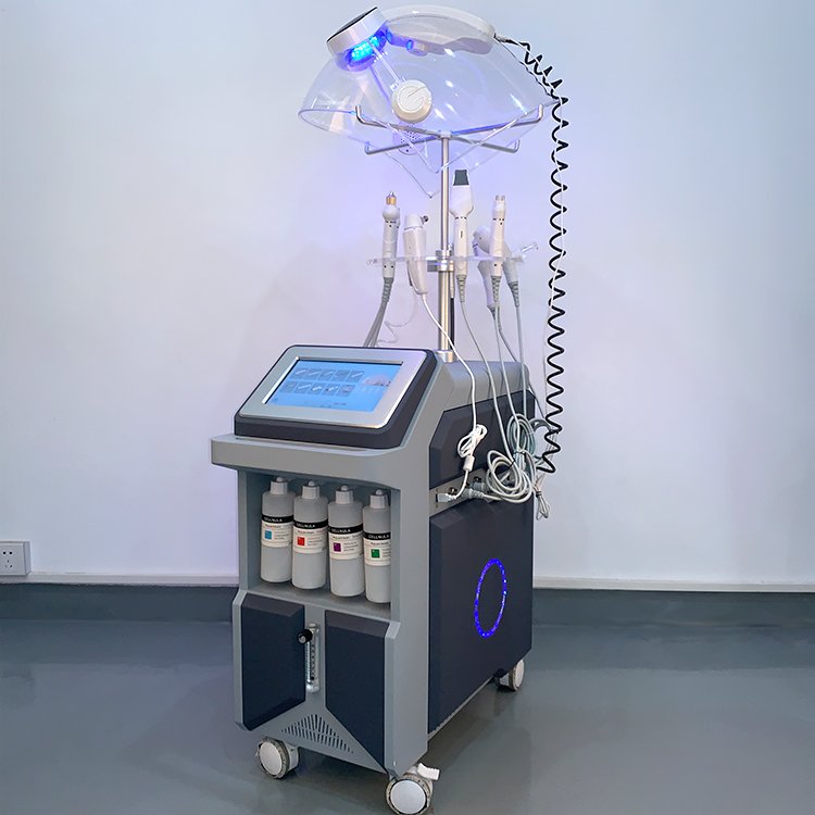 2024 for Salon Business Manufacture Dermabrasion Machine Moisture LED Dome Facial Care Machine