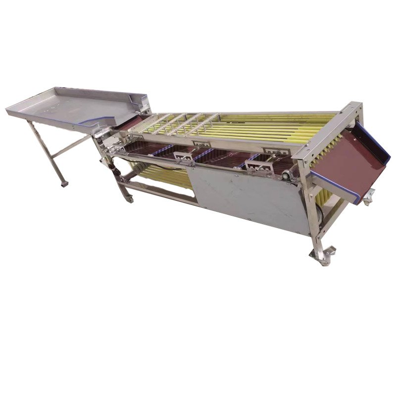 Automatic Fruit Grading Machine Auto Industrial Fruits Weight Sorting Line Machines Equipment Machinery Cheap Price for Sale