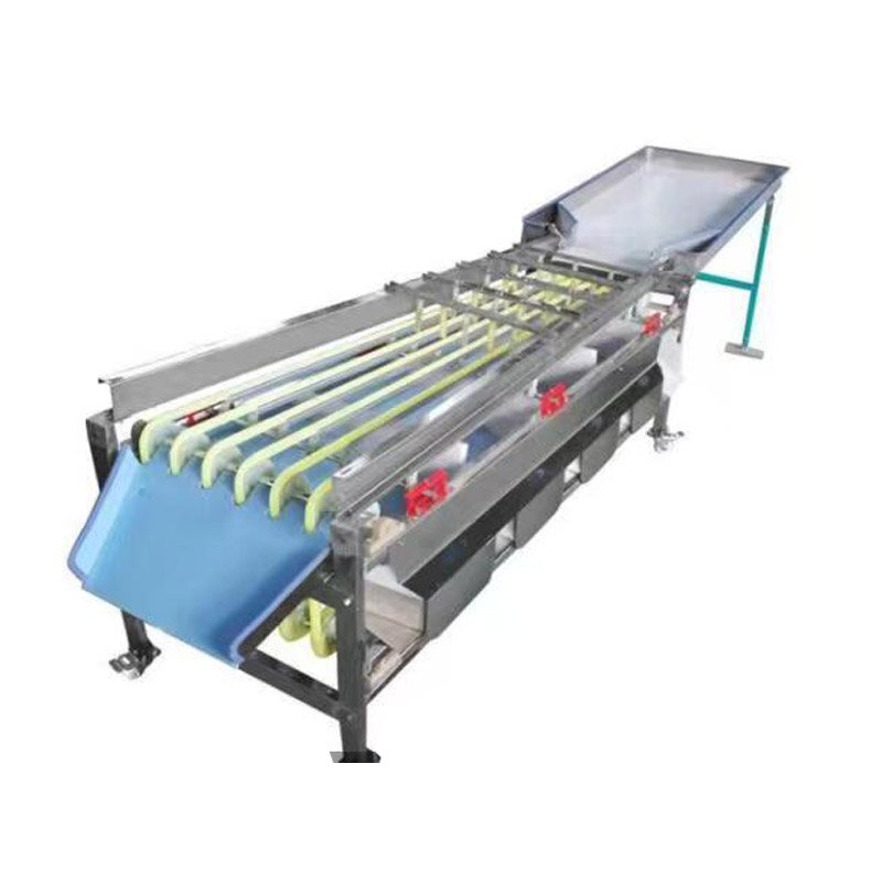 Automatic Fruit Grading Machine Auto Industrial Fruits Weight Sorting Line Machines Equipment Machinery Cheap Price for Sale