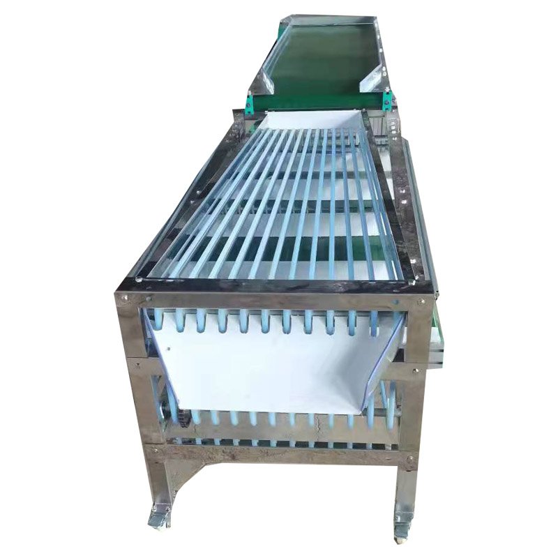 Automatic Fruit Grading Machine Auto Industrial Fruits Weight Sorting Line Machines Equipment Machinery Cheap Price for Sale