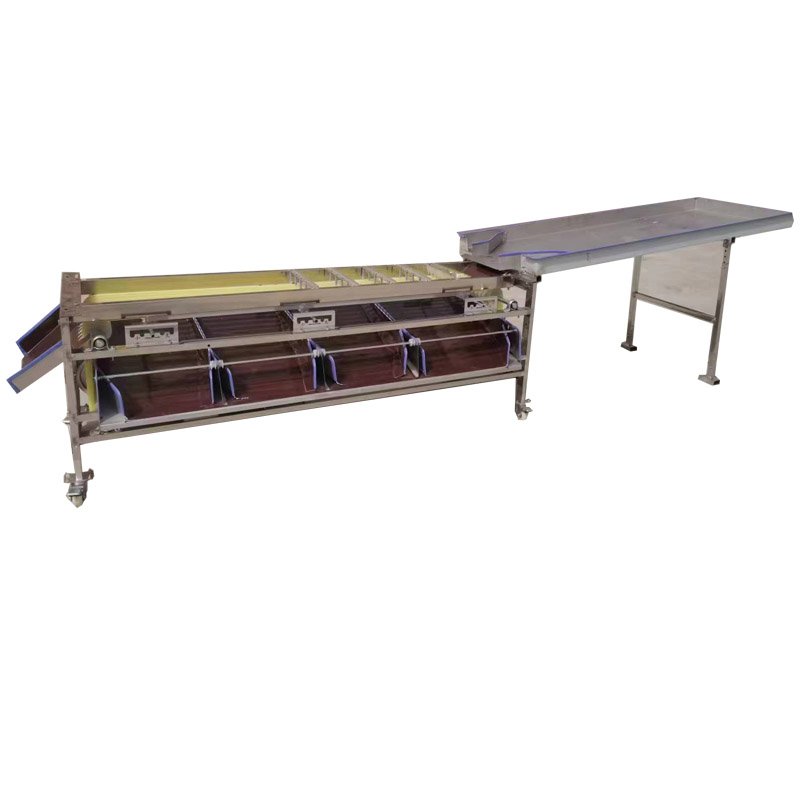 Automatic Fruit Grading Machine Auto Industrial Fruits Weight Sorting Line Machines Equipment Machinery Cheap Price for Sale