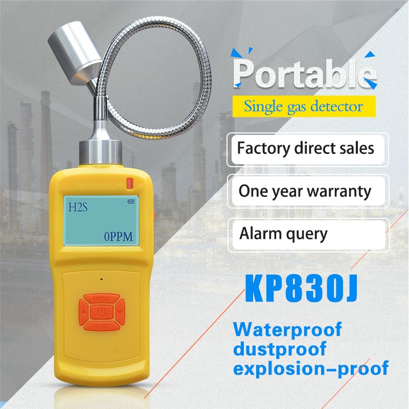 portable type gas detector flexible probe handheld gas detector with hose