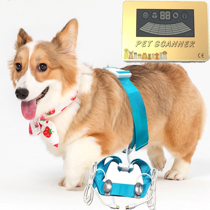 Health care supplies Wholesale Pet Scanner Quantum Body Composition Analyzer Animal Health Diagnosis Device