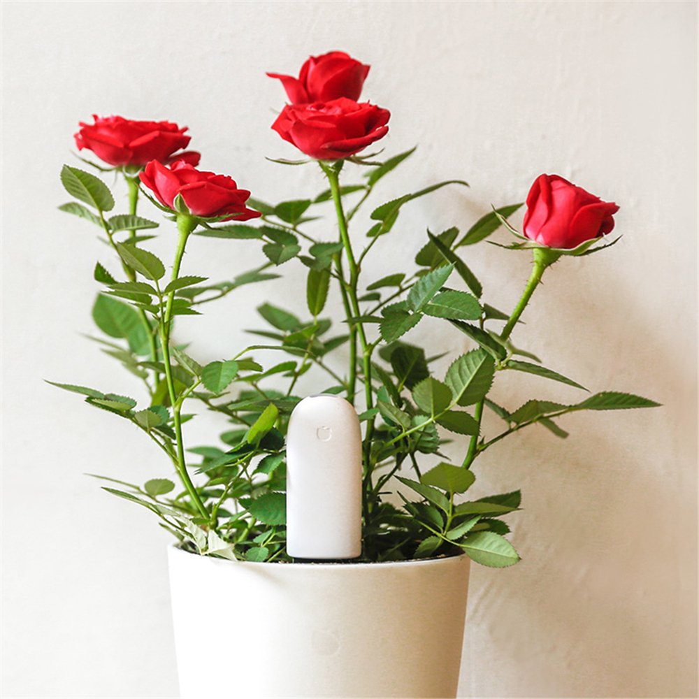 Global Version Xiaomi HHCC Smart Plant Flower Care Monitor With soil moisture soil fertility light intensity and Temperature
