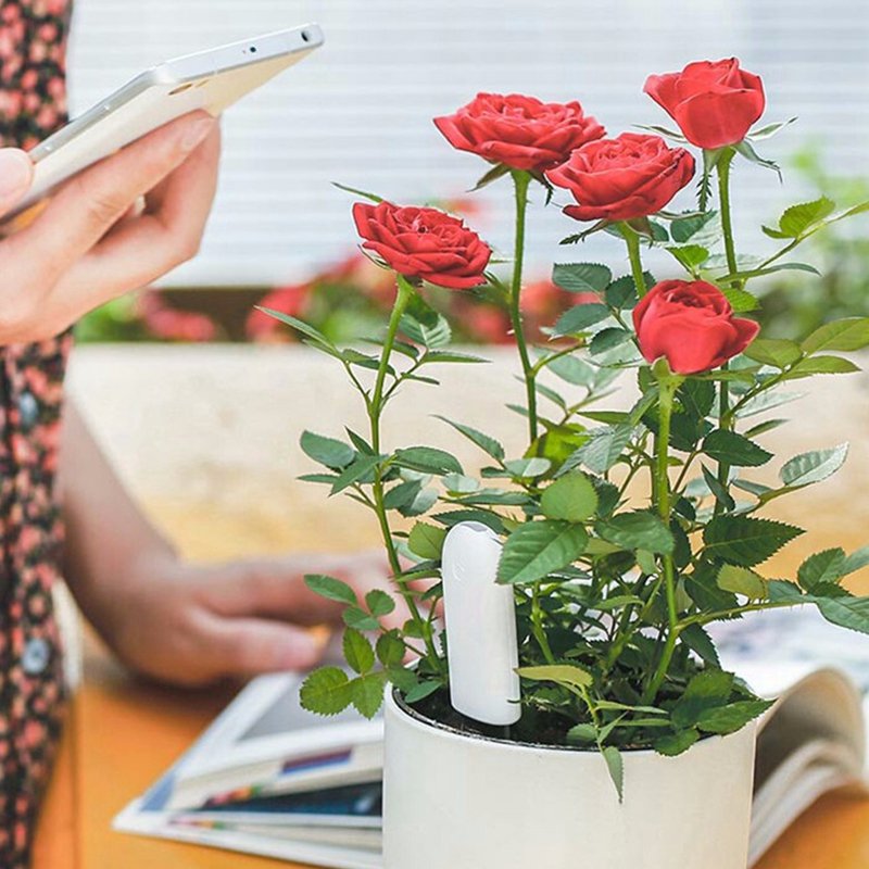 HHCC Flower Monitor Flora Garden Care Plant Grass Soil Water Fertility Smart Tester Sensor Flower Gardening Detector