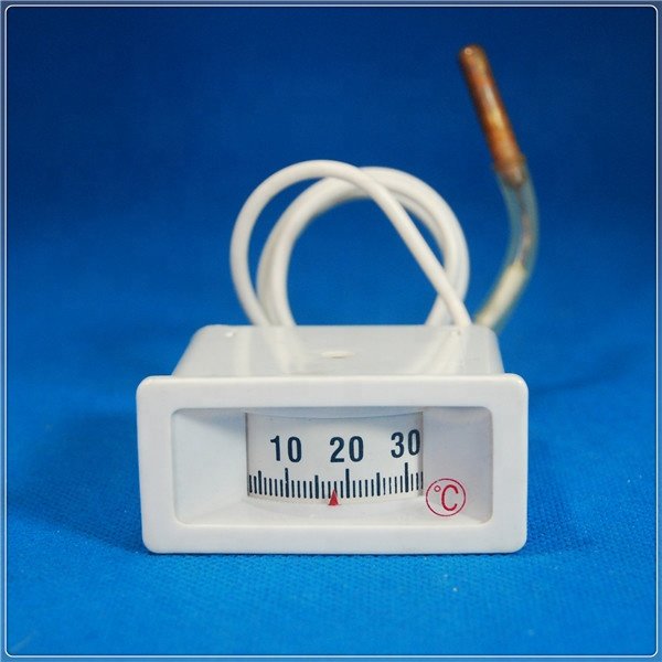 Thermometer sensor