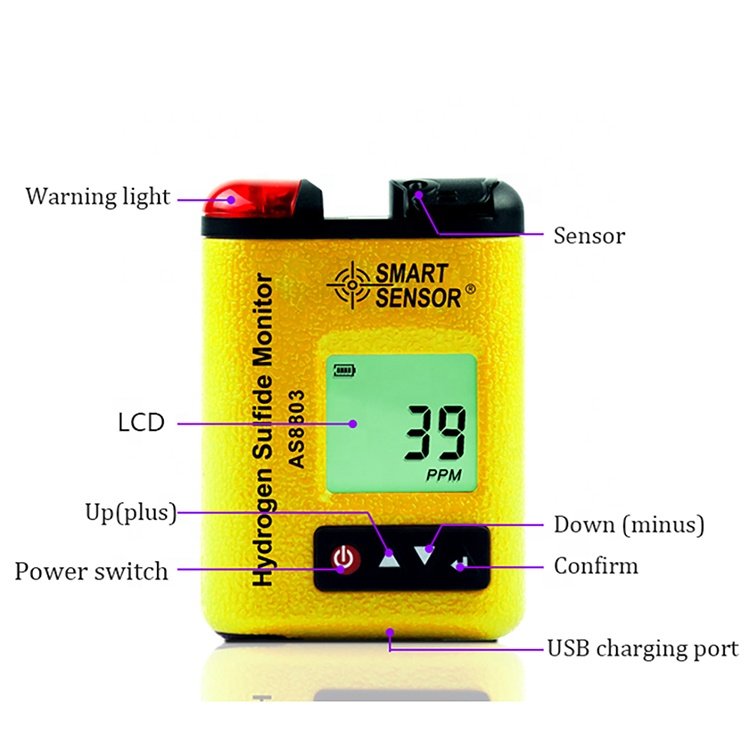 Mini Portable Clip-on Digital Hydrogen Sulfide Monitor H2S Gas Concentration Detector Tester Analyzer