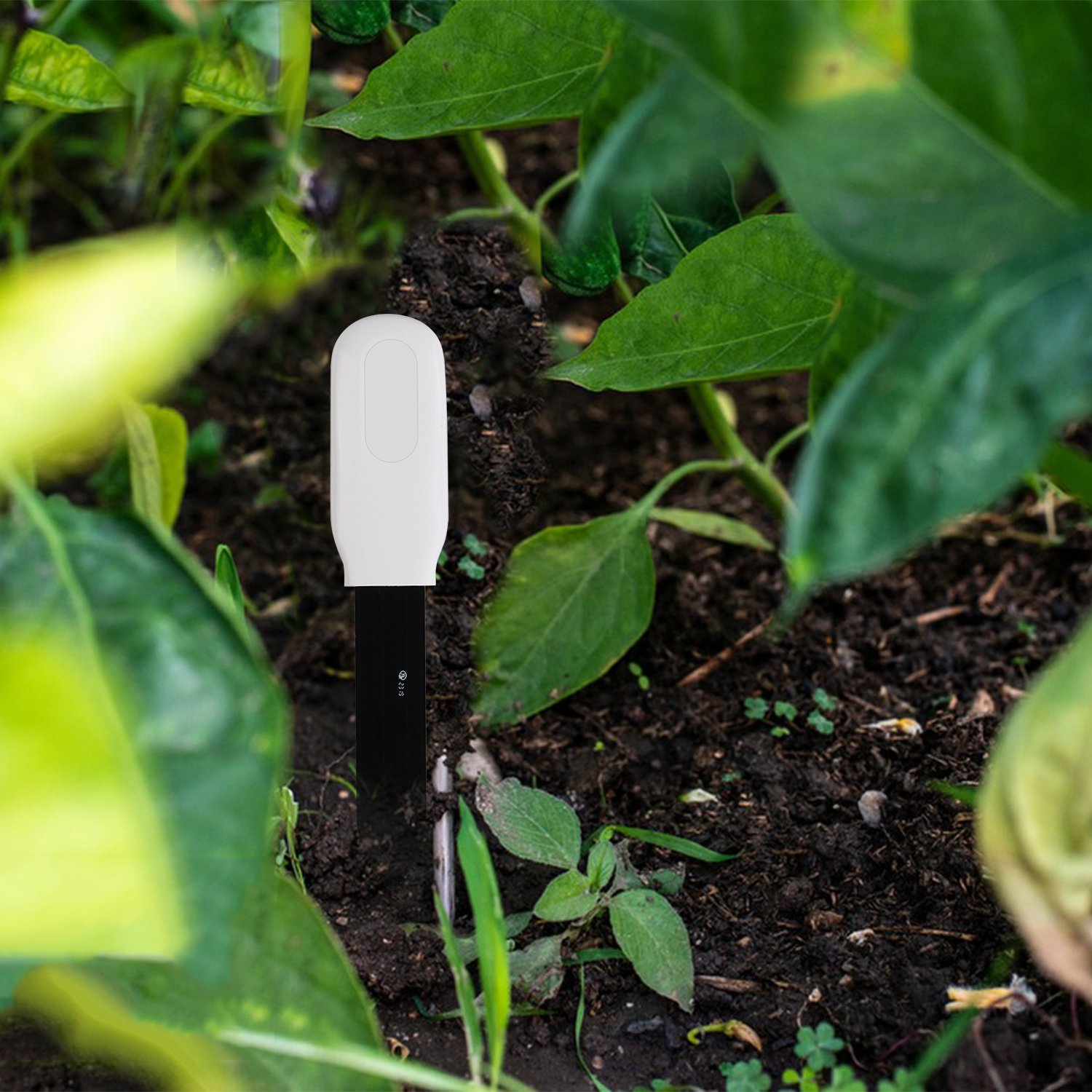 TUYA APP Smart Blue tooth Soil Temperature Meter Moisture Humidity Sensor Garden Irrigation Plant Monitor Detector Tester