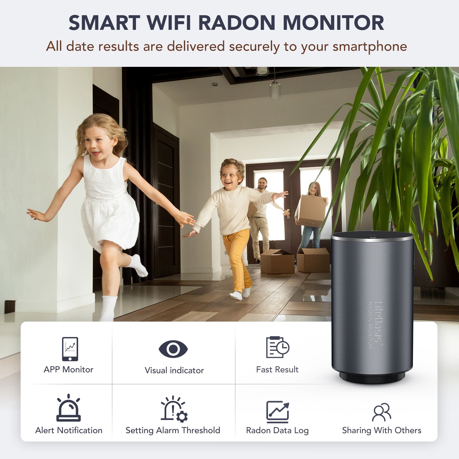 Lifebasis WIFI Home Radon Detector with Pulse Ion Chamber Sensor