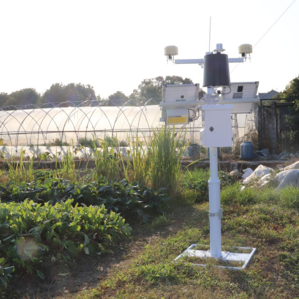 Readycome wireless sensor multifunction water quality monitor system with IOT real time aquaculture management