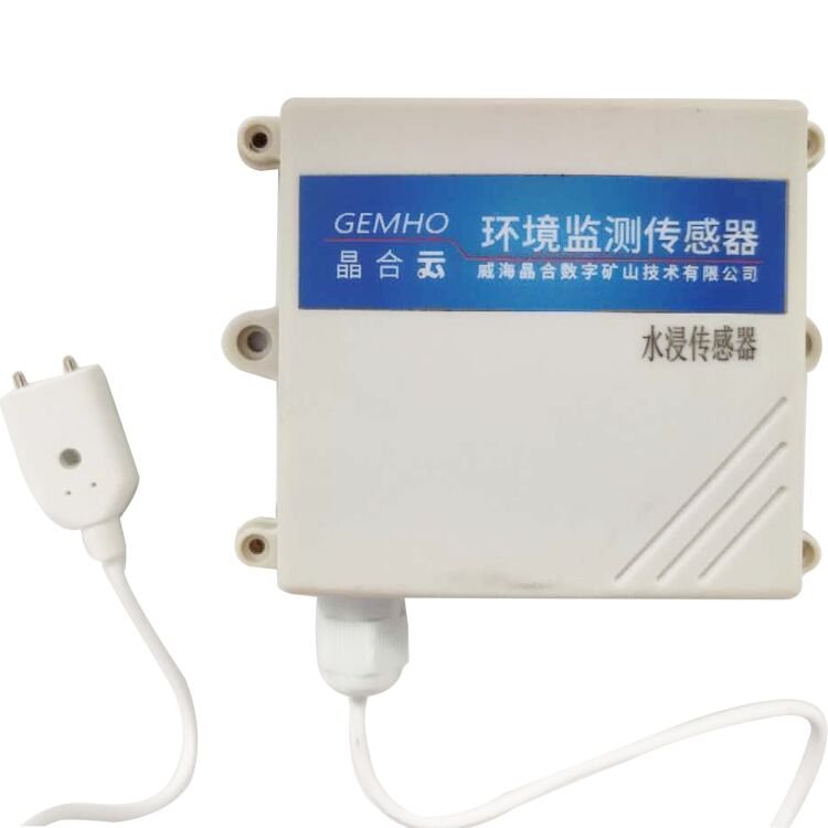 Precise Dc12v 4-20mA Lorawan Wireless Water Leakage Sensor for Communication Base Station
