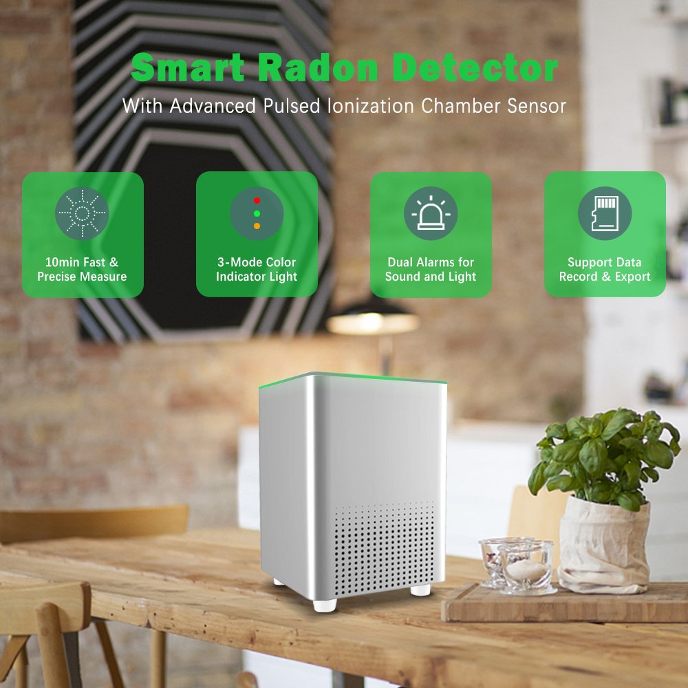 Home Use Smart Tuya Digital Pulse Ion Chamber Sensor Radon Meter SD cards Trend Charts Real Time Value Radon Tester for Home