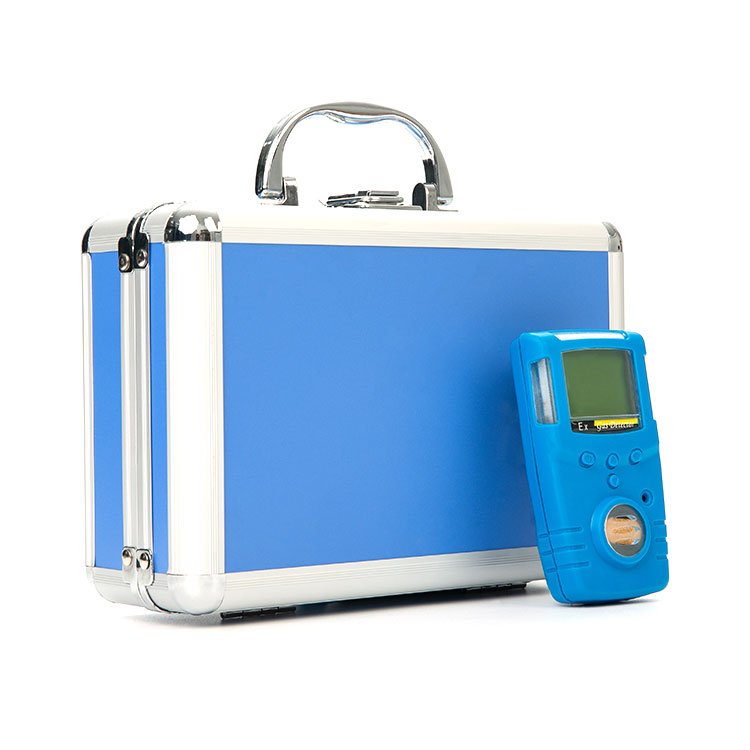 Portable Self-inspection Single Gas Detector Rapid and Effective Warning with Audible Alarm