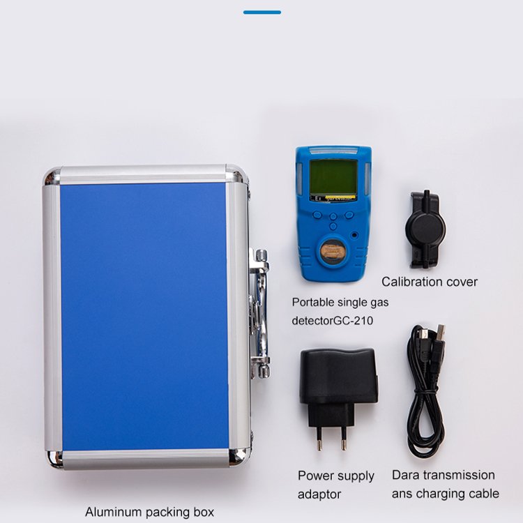 Portable Self-inspection Single Gas Detector Rapid and Effective Warning with Audible Alarm