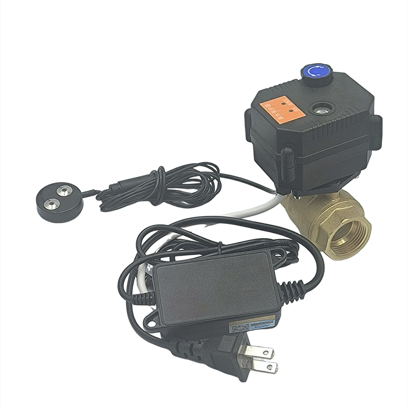 Manufacturer supply wholesale price water leakage detector sensor automatic shut off ball valve for smart home protection system