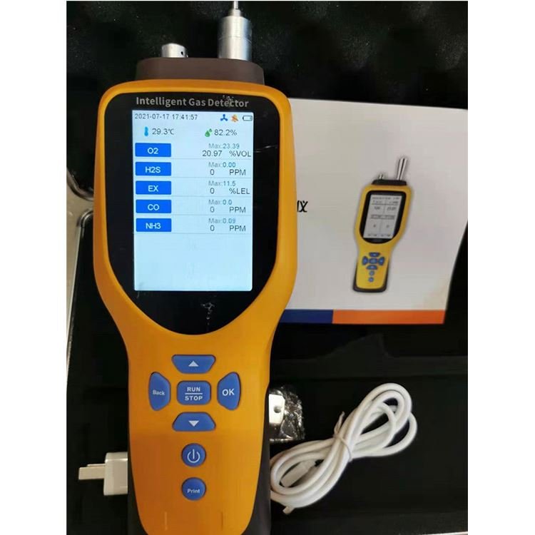 Professional Manufacturer Portable Gas Analyzers Single H2S gas detector alarm gas leak detector
