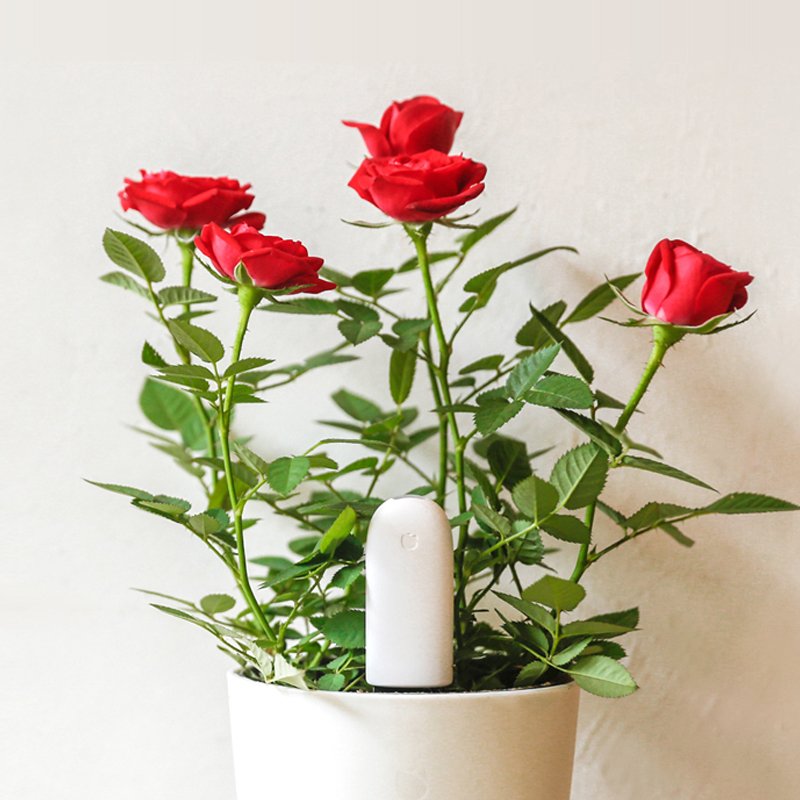 HHCC Flower Monitor Flora Garden Care Plant Grass Soil Water Fertility Smart Tester Sensor Flower Gardening Detector For Xiaomi