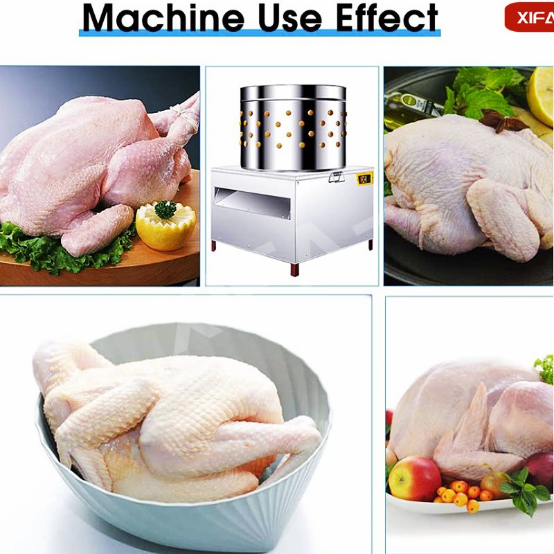 Chicken hair removal machine poultry hair removal machine capacity 4-5 chicken feather plucking machine