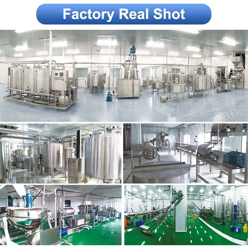 OCEAN Automatic Tomato Process Machine Small Tomato Paste Production Line Ketchup Make Machine Price