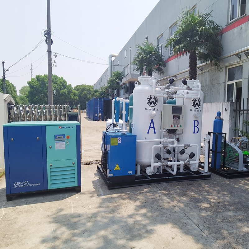 110/220/380V shrimp pond psa oxygen generator fish concentrator low pressure regulator with CE/ISO9001