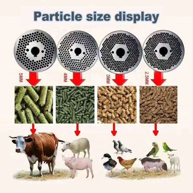 Big discount animal pellet machine feed pellet making pellet making machine for livestock feed
