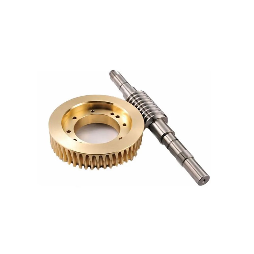 Latest Brand Widely Selling best quality Worm Wheels from Indian supplier at Reasonable Price