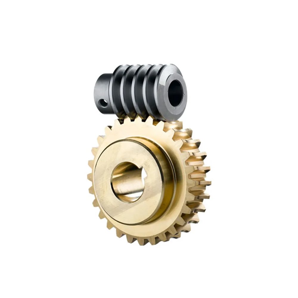 Premium Quality Worm Gears for Manufacturing Plants New Steel and Brass Motor and Gearbox Worldwide Supplier