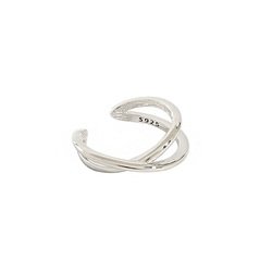 EA558-silver