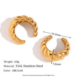 Stainless Steel Earrings
