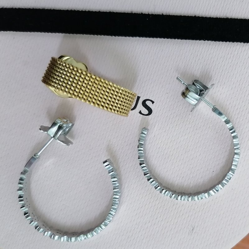 High Quality Stainless Steel 316 Jewelry Fashion Party Dress Luxurious Original Touses Earrings Multi Bear Curved Earrings