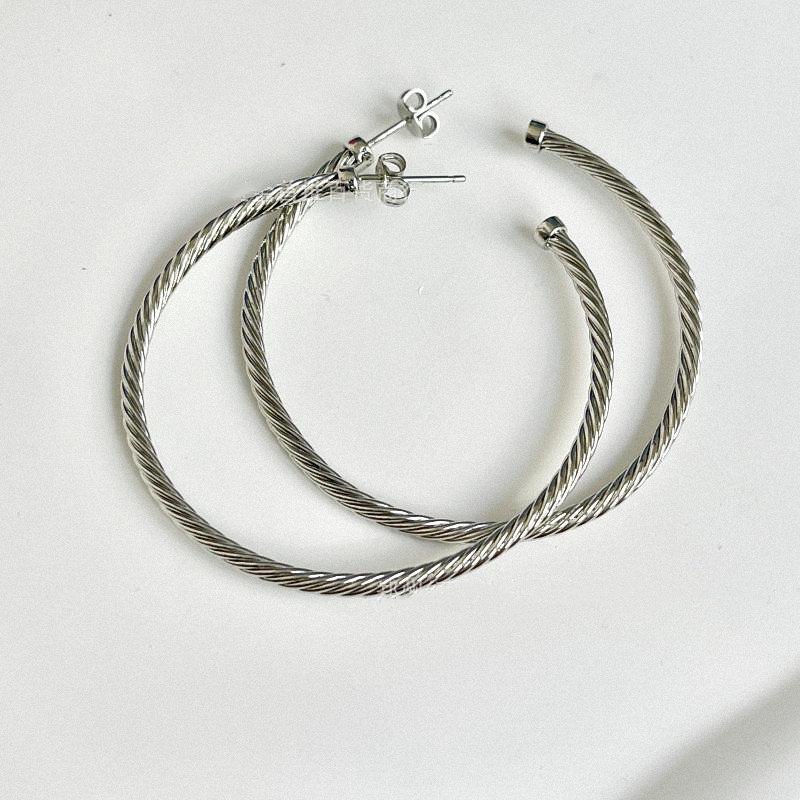 High Quality designer brand Hoop Earrings Fine Jewelry stainless steel gold plated david circle round earring For Women