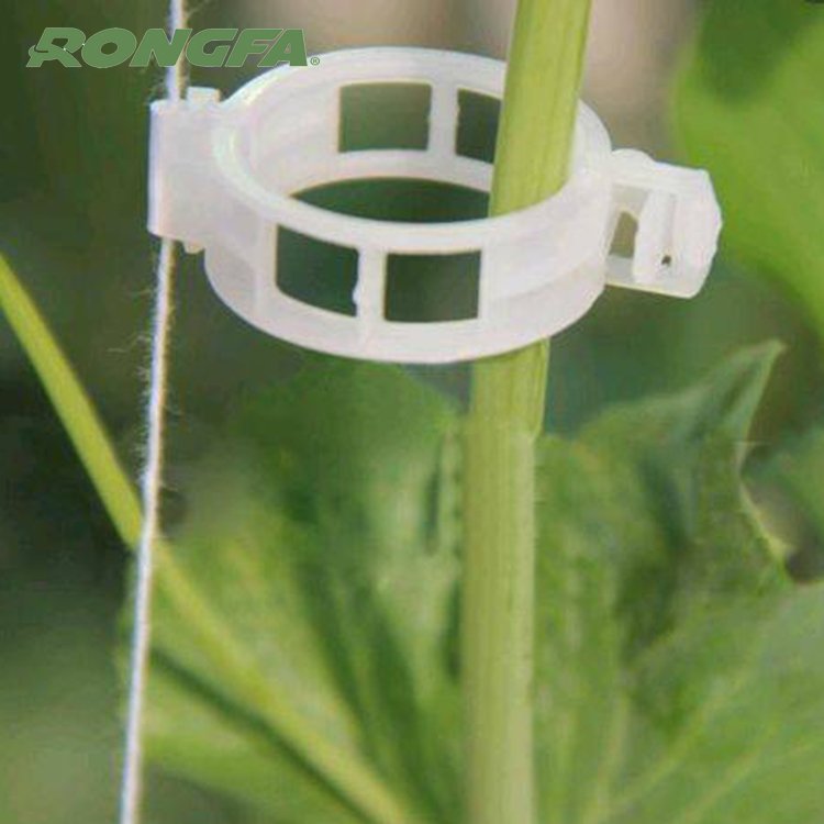 White color Black color Tomato Plastic clips Plastic rings with various sizes