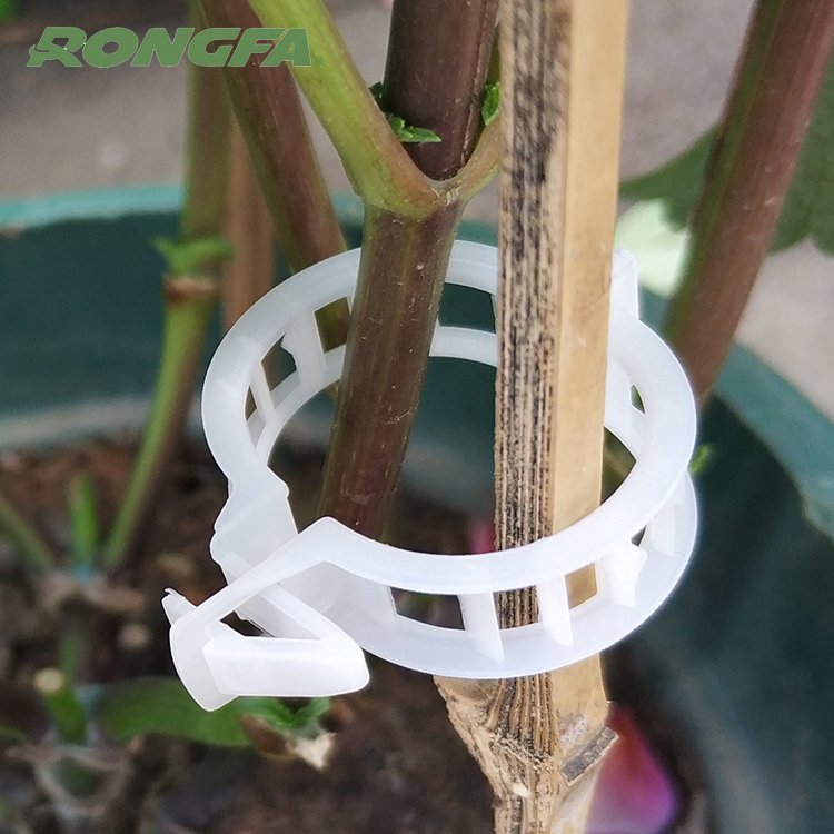 White color Black color Tomato Plastic clips Plastic rings with various sizes