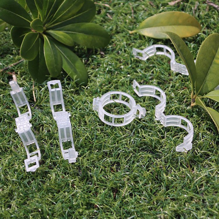 White color Black color Tomato Plastic clips Plastic rings with various sizes