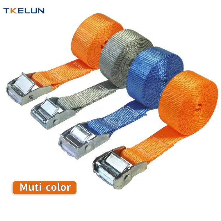 25mm 250kg cam buckle tie down polyester webbing lashing belt sliver metal buckle tie down cargo with customize logo print