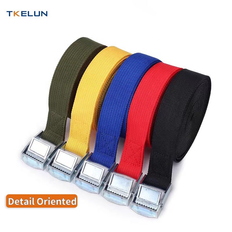 25mm 250kg cam buckle tie down polyester webbing lashing belt sliver metal buckle tie down cargo with customize logo print