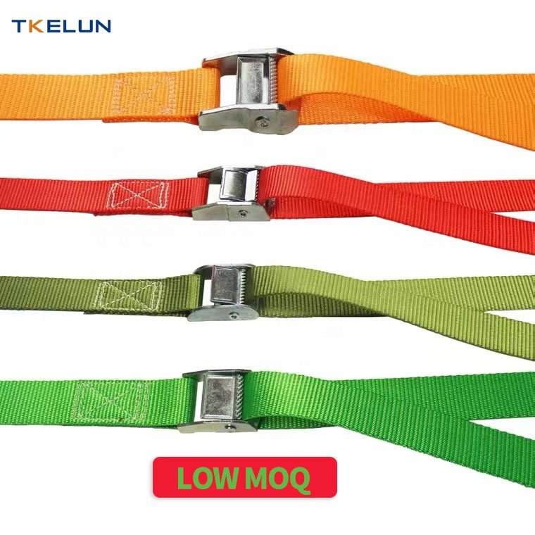 25mm 250kg cam buckle tie down polyester webbing lashing belt sliver metal buckle tie down cargo with customize logo print