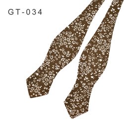 GT-034