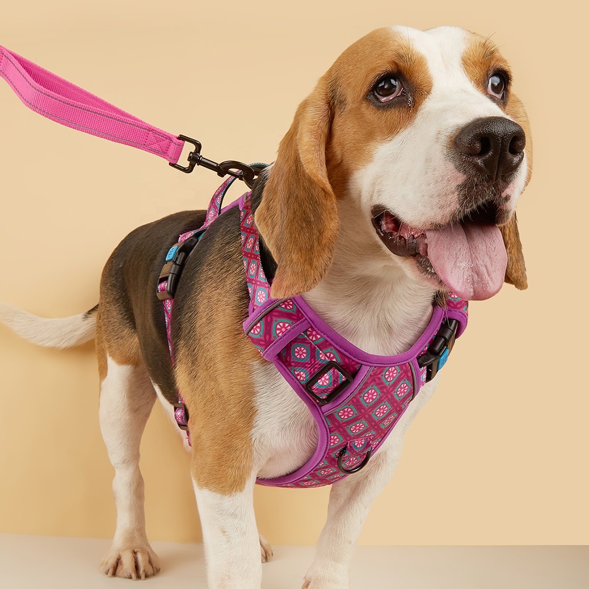 MIDEPET New Arrives Pet Product OEM/ODM Custom Adjustable Anti Escape No Pull Dog Harness And Heavy Duty Bungee Leash