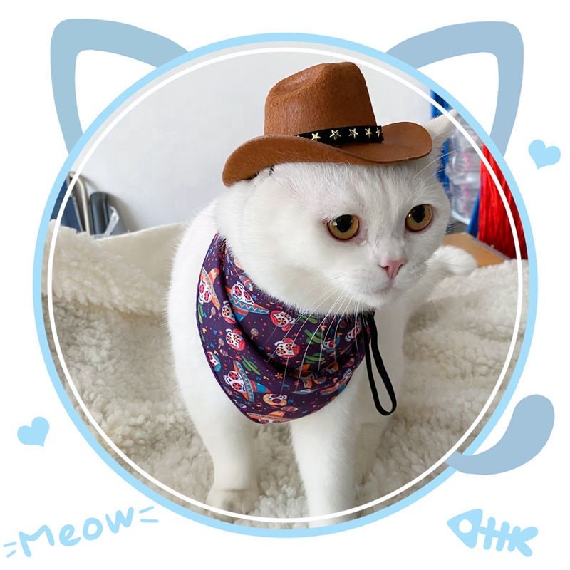 Factory Wholesale Cowboy Hat Bandanna Set Cosplay Cat Dog Small Pet Cowboy Hat Bandanna Set