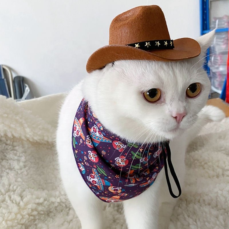 Factory Wholesale Cowboy Hat Bandanna Set Cosplay Cat Dog Small Pet Cowboy Hat Bandanna Set