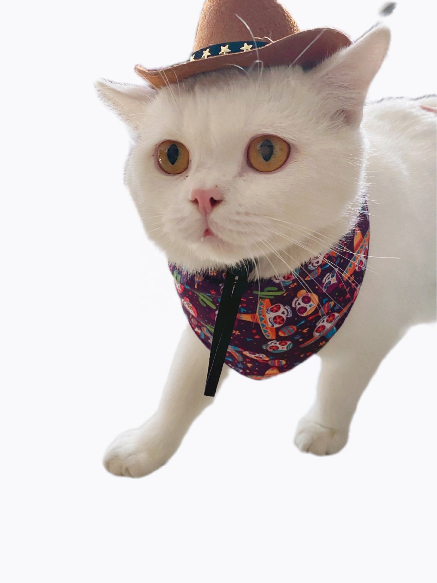 Factory Wholesale Cowboy Hat Bandanna Set Cosplay Cat Dog Small Pet Cowboy Hat Bandanna Set