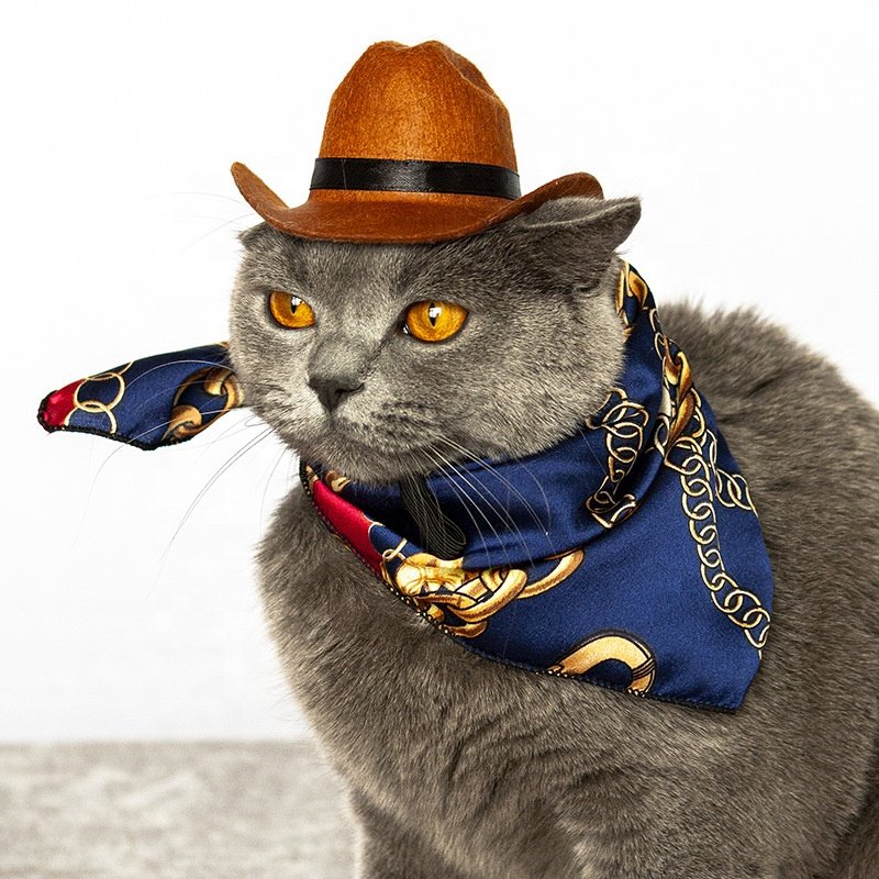 Factory Wholesale Cowboy Hat Bandanna Set Cosplay Cat Dog Small Pet Cowboy Hat Bandanna Set