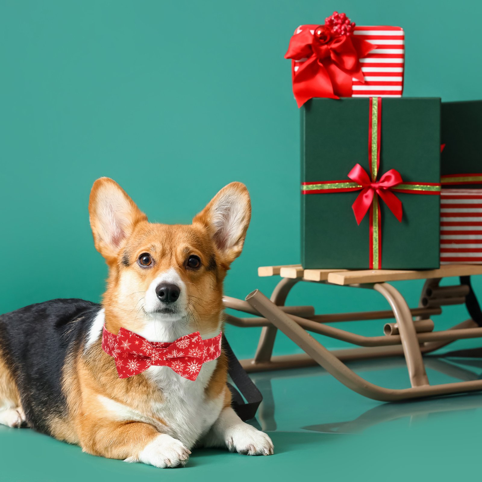 Christmas-Themed Small Pet Collar Customizable Quick Release Nylon Polyester PU Cotton Animal Print Ribbons Bow-tie Decoration