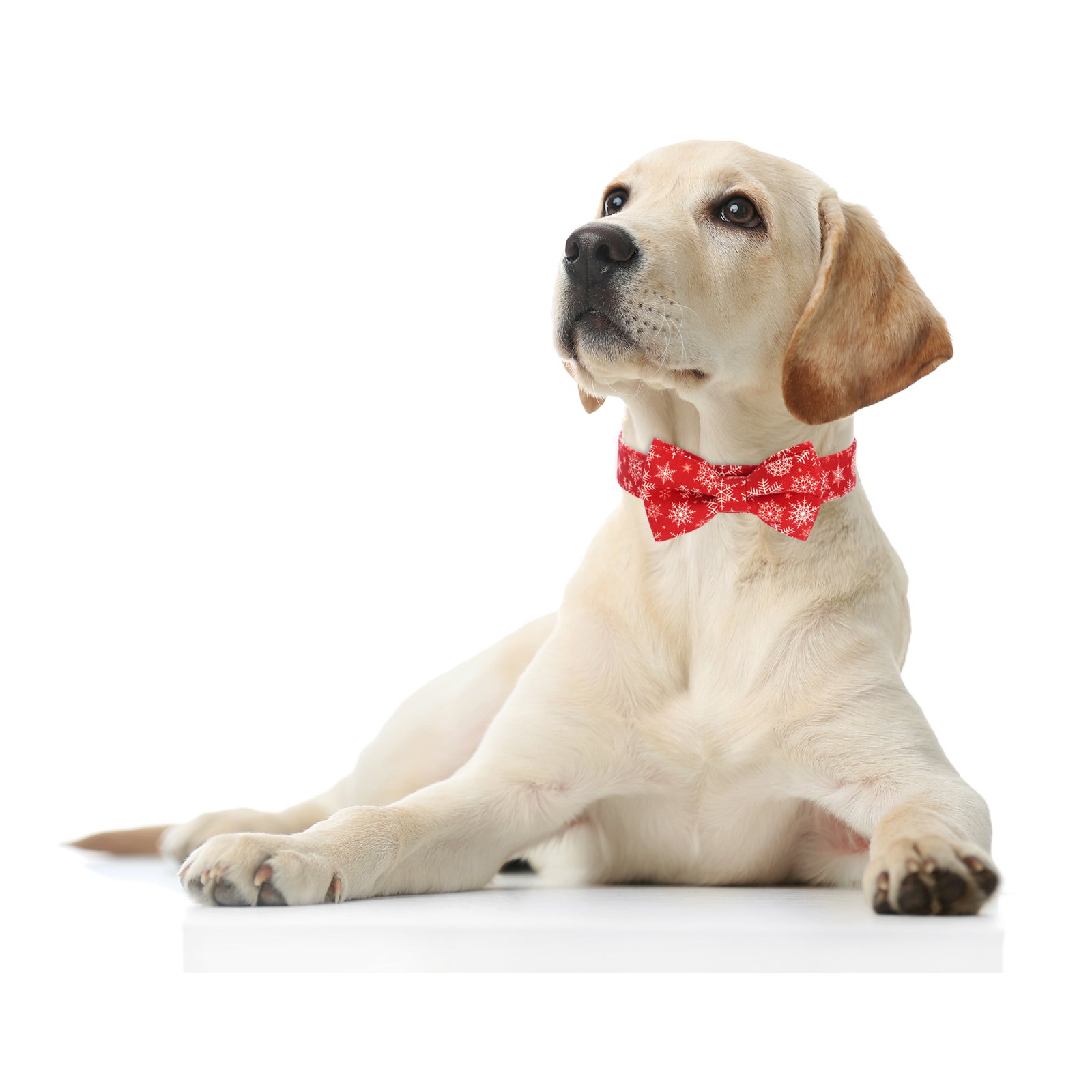 Christmas-Themed Small Pet Collar Customizable Quick Release Nylon Polyester PU Cotton Animal Print Ribbons Bow-tie Decoration