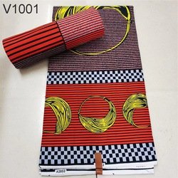V1001
