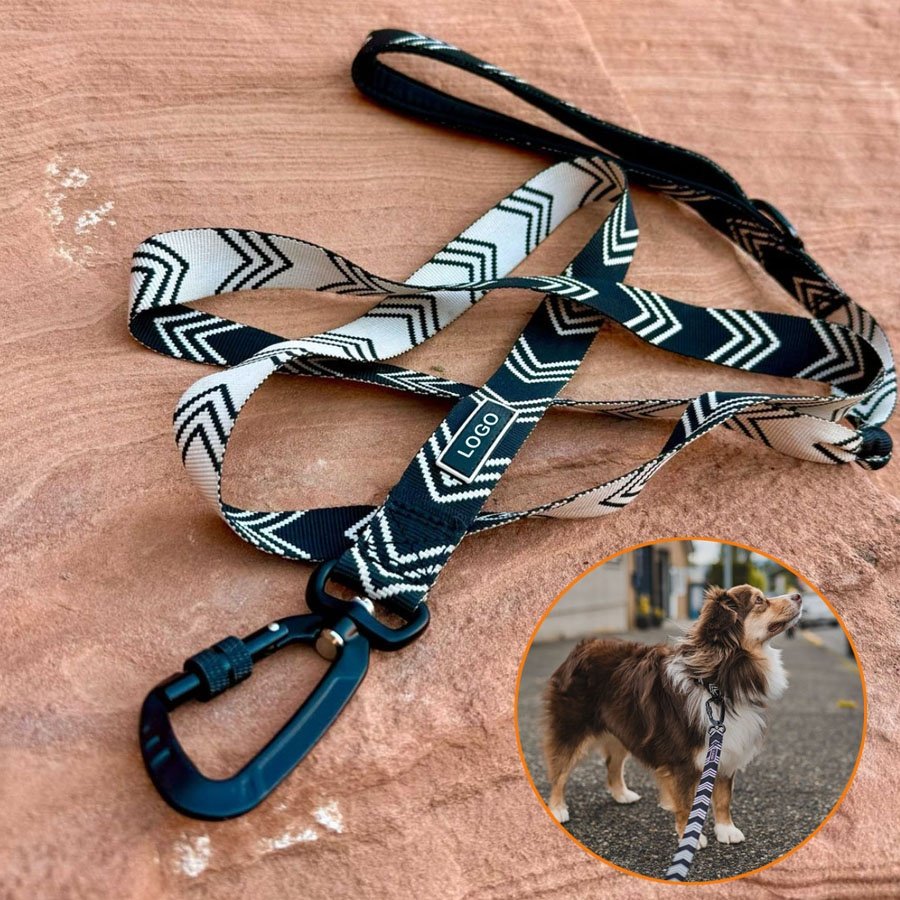 Custom Designer Nylon Webbing Jacquard Colorful Swivel Locking Aluminium Carabiner Hook Clip Dog Lead Dog collar and leash walk