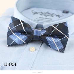 LJ001