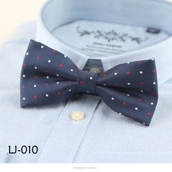 LJ010