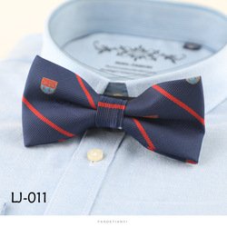 LJ011